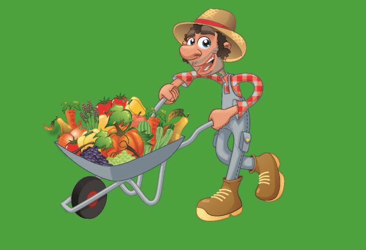Farmer's Market