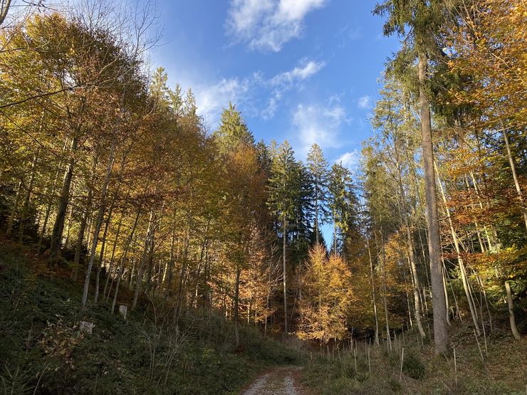 Walk & Talk – exercise meets nutritional advice