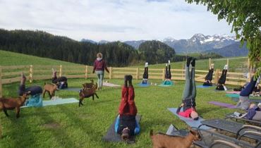 KITZYOGA beim Moosbauern