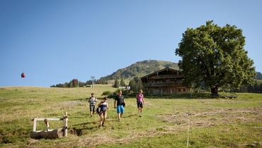Gemeinsam Bewegt Tirol / Gemeinsam Wandern